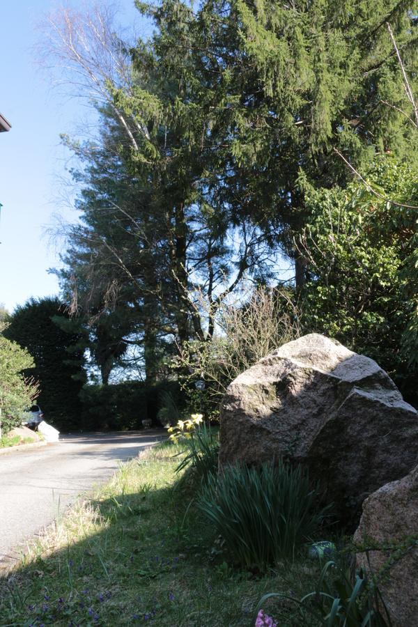 Paradeisos Residence Sas Somma Lombardo Exterior foto